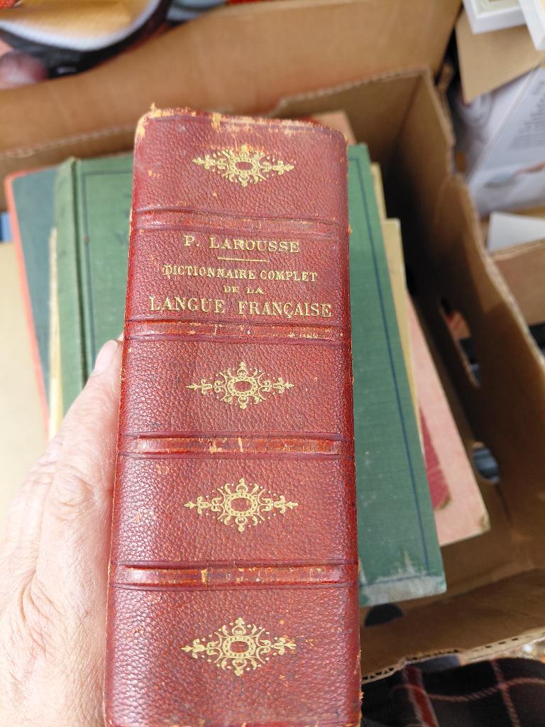 Dictionannaire complet, Boeken, Woordenboeken, Gelezen, Frans, Overige uitgevers, Ophalen of Verzenden