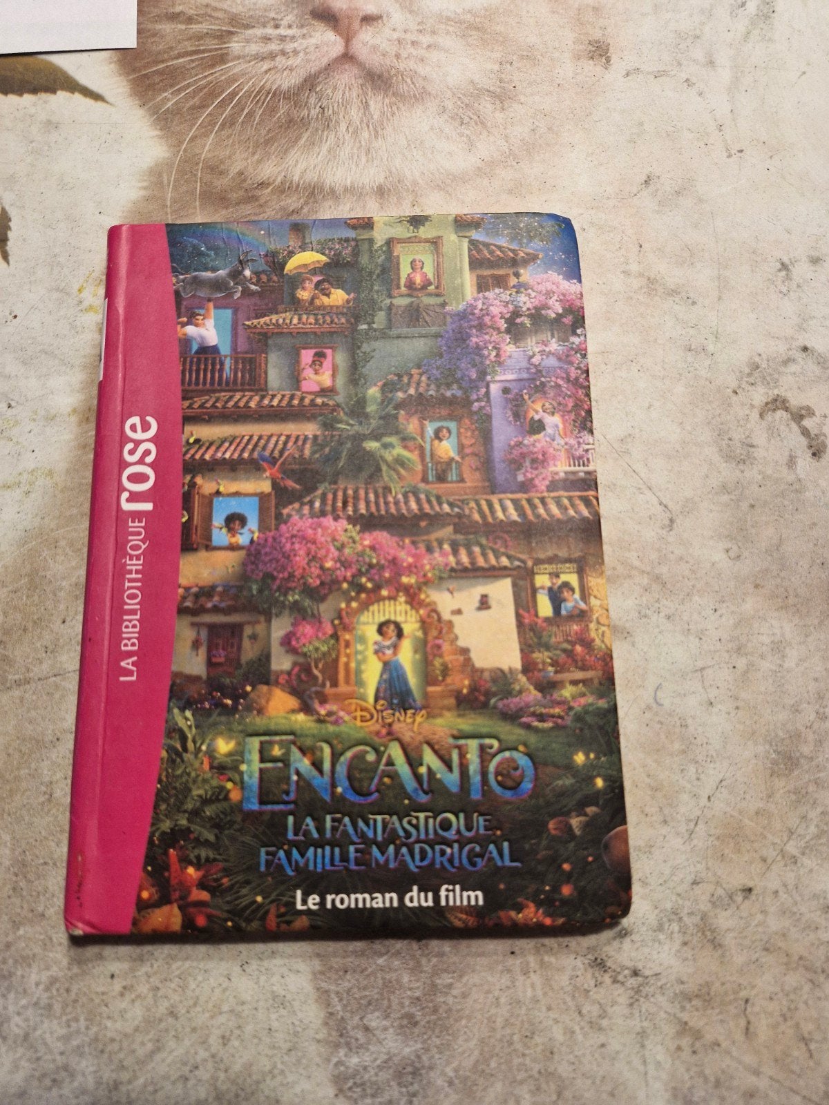 livre dusney encanto en. bonne etat, Livres, Enlèvement ou Envoi, Comme neuf