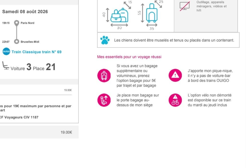 Treinkaartje Parijs -> Brussel, Tickets en Kaartjes, Eén persoon, Trein, Algemeen kaartje