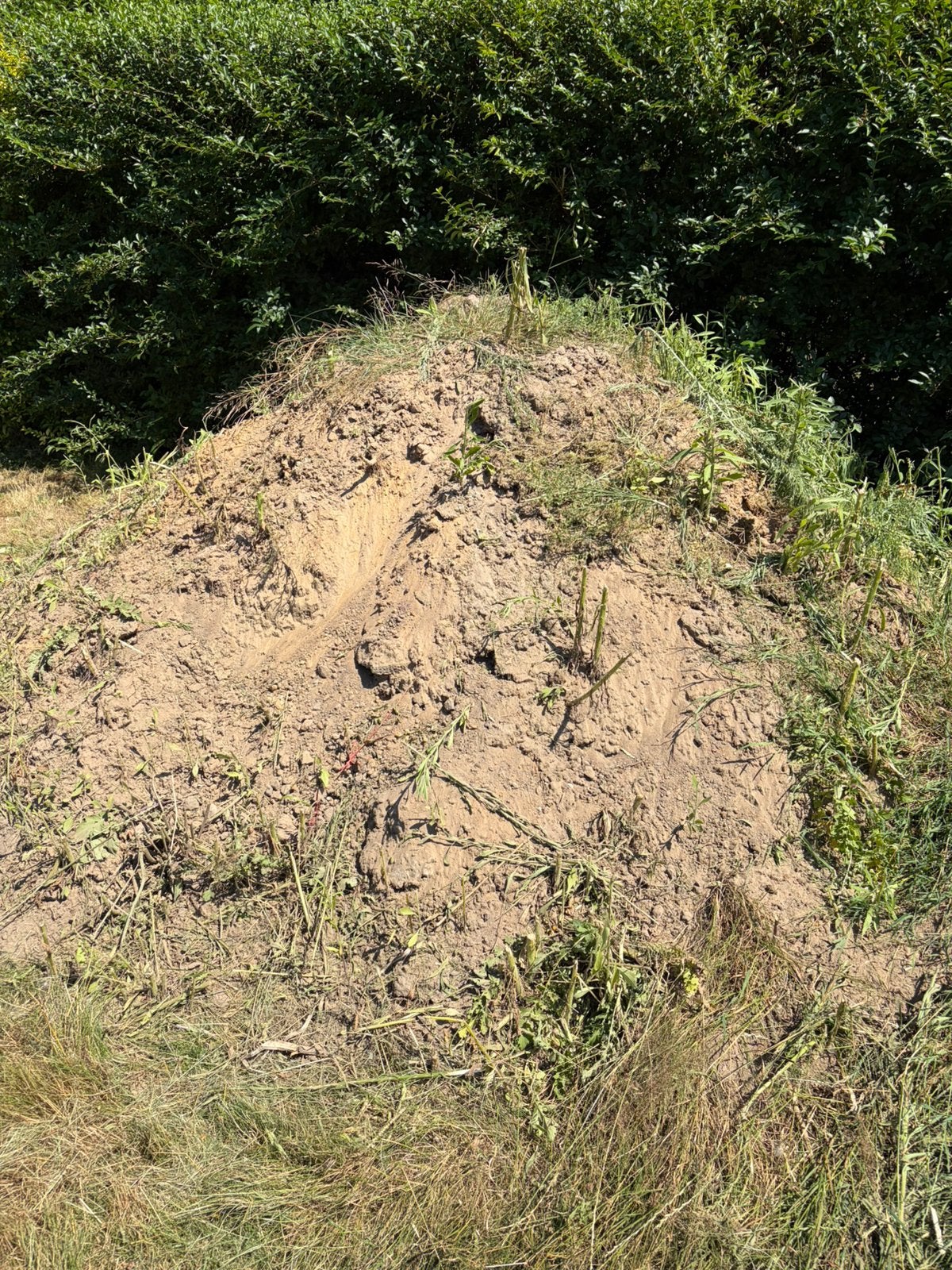 Gratis grond, Ophalen, Overige typen