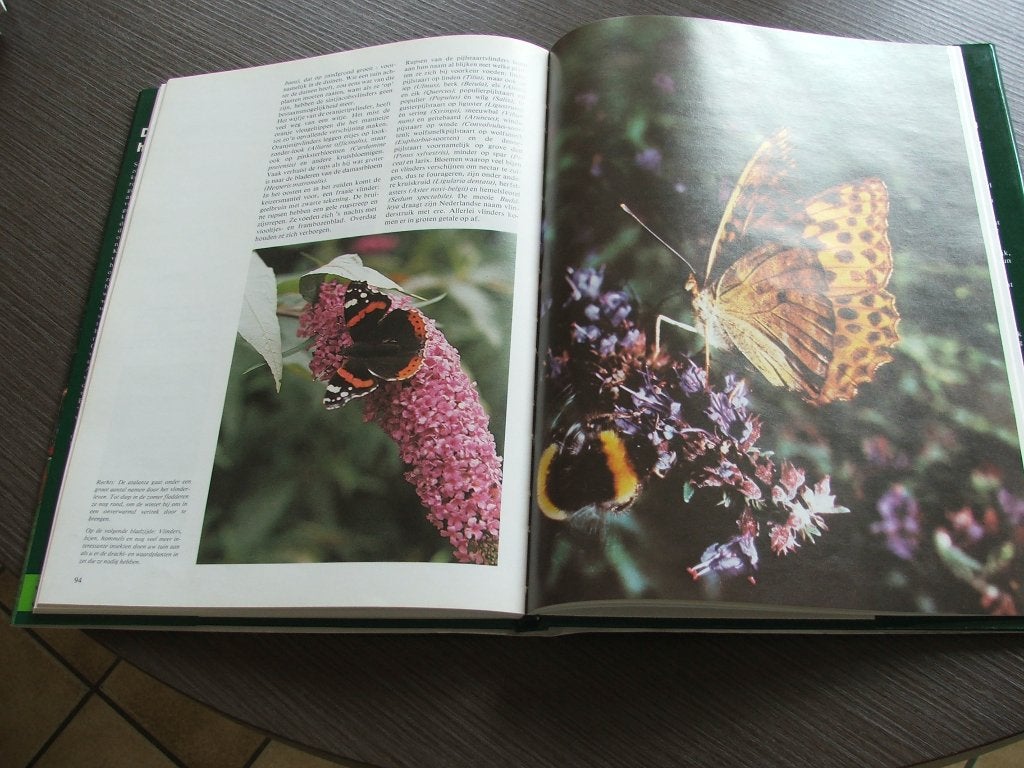 5 mooie boeken, Boeken, Ophalen of Verzenden, Nieuw