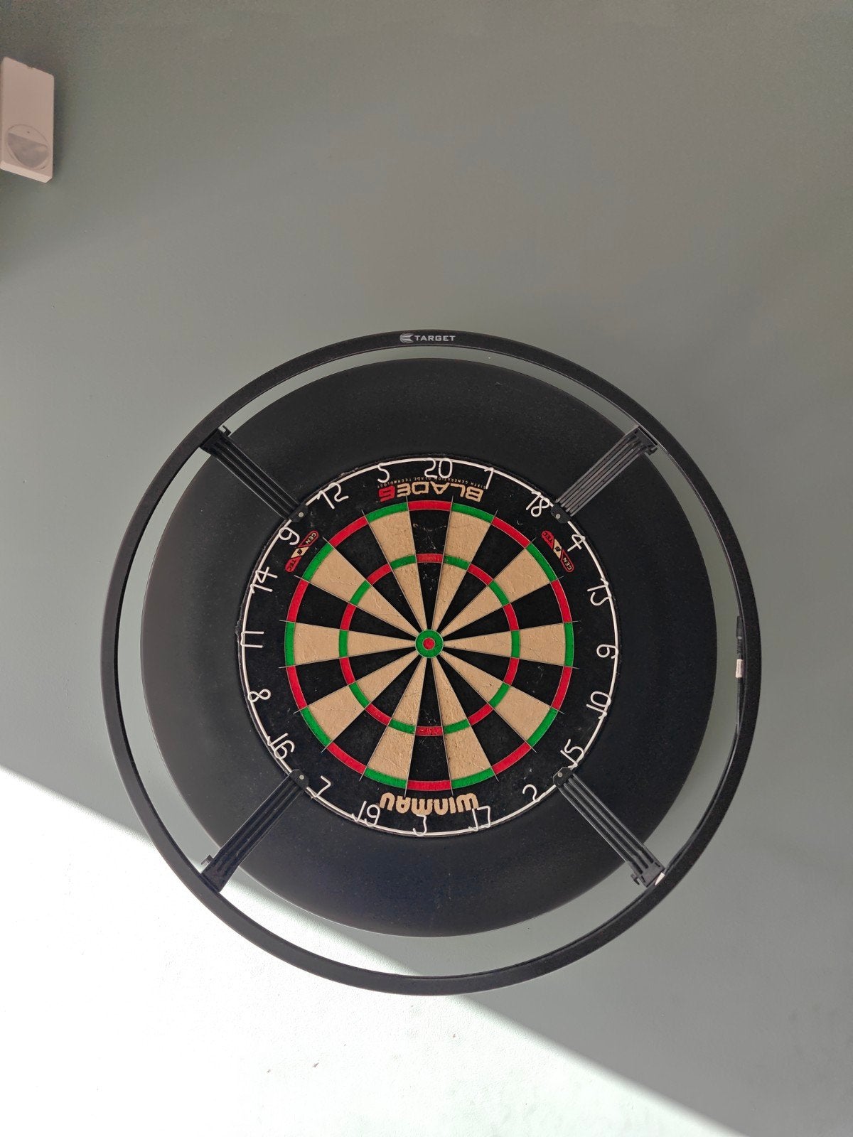 Dart bord + lichtring, Sport en Fitness, Ophalen of Verzenden, Zo goed als nieuw, Dartbord