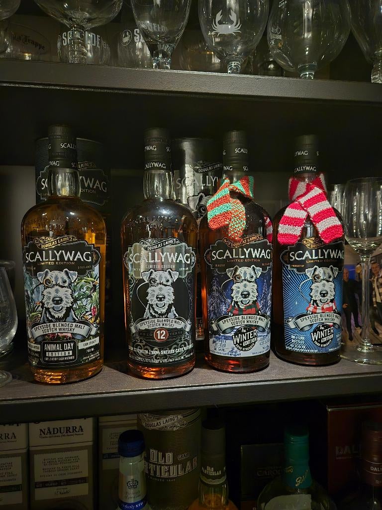 Scallywag, Overige gebieden, Overige typen, Nieuw, Ophalen of Verzenden