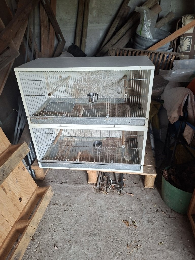 Kweekkooien, Ophalen, Gebruikt, Hout, Broedkooi of Kweekkooi