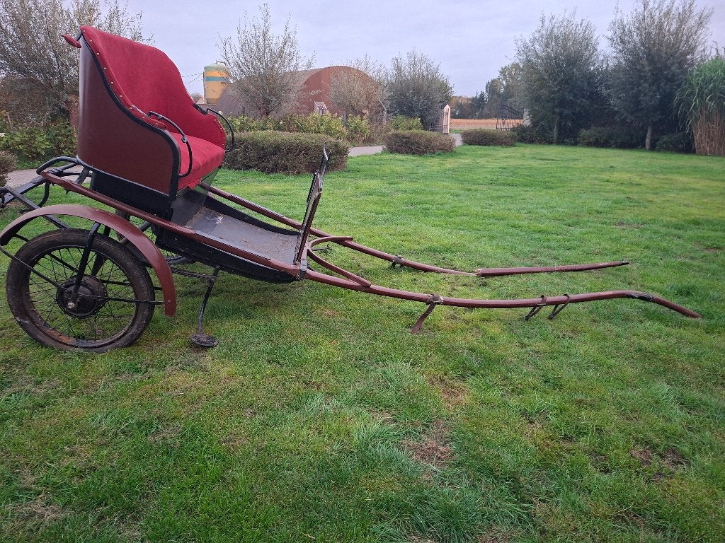 Outentieke paarden koets, Dieren en Toebehoren, Gebruikt, Overige typen, Paard
