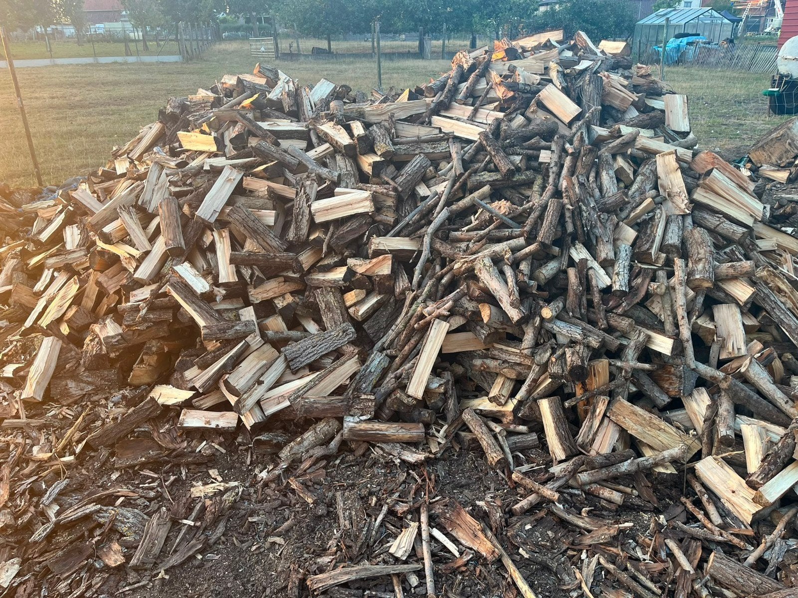 Droog brandhout wilg 60€/kuub, Tuin en Terras, Brandhout, Ophalen of Verzenden, Blokken