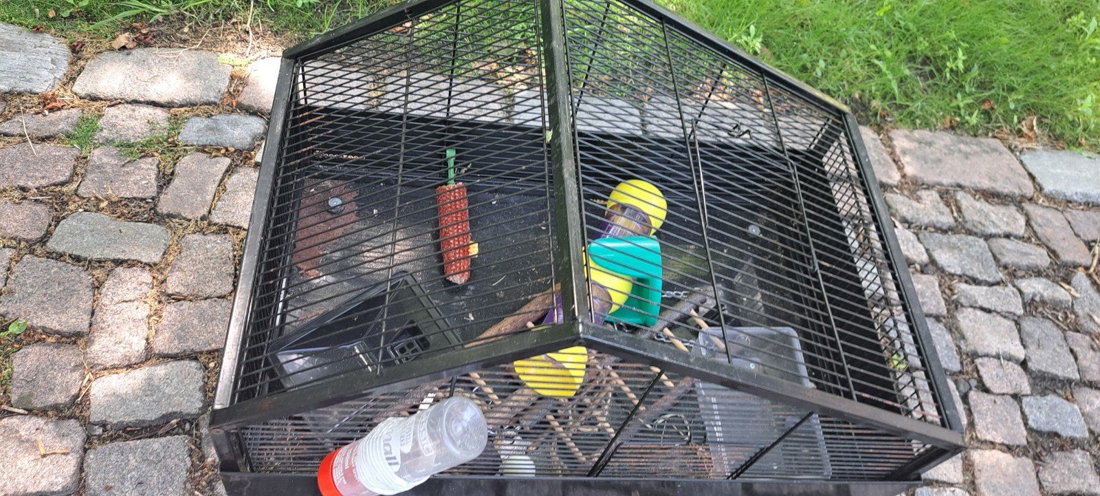 Hok voor hamsters, Ophalen, Hok