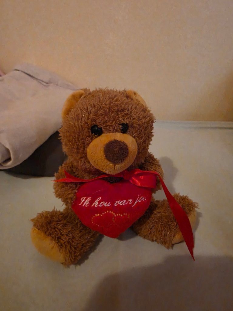 Teddybeer, Ophalen, Nieuw