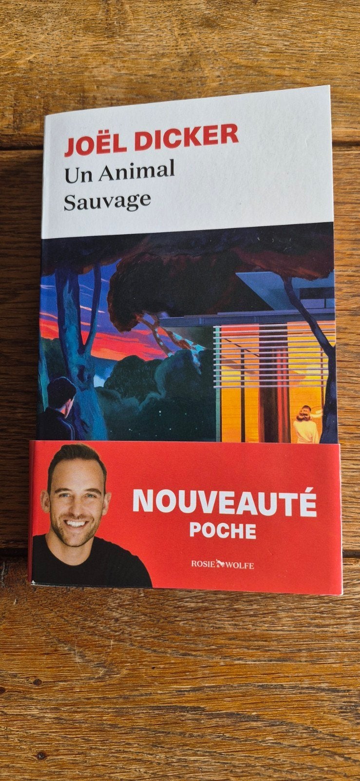 "Un animal sauvage" de Joël Dicker, Livres, Policiers, Neuf, Enlèvement ou Envoi