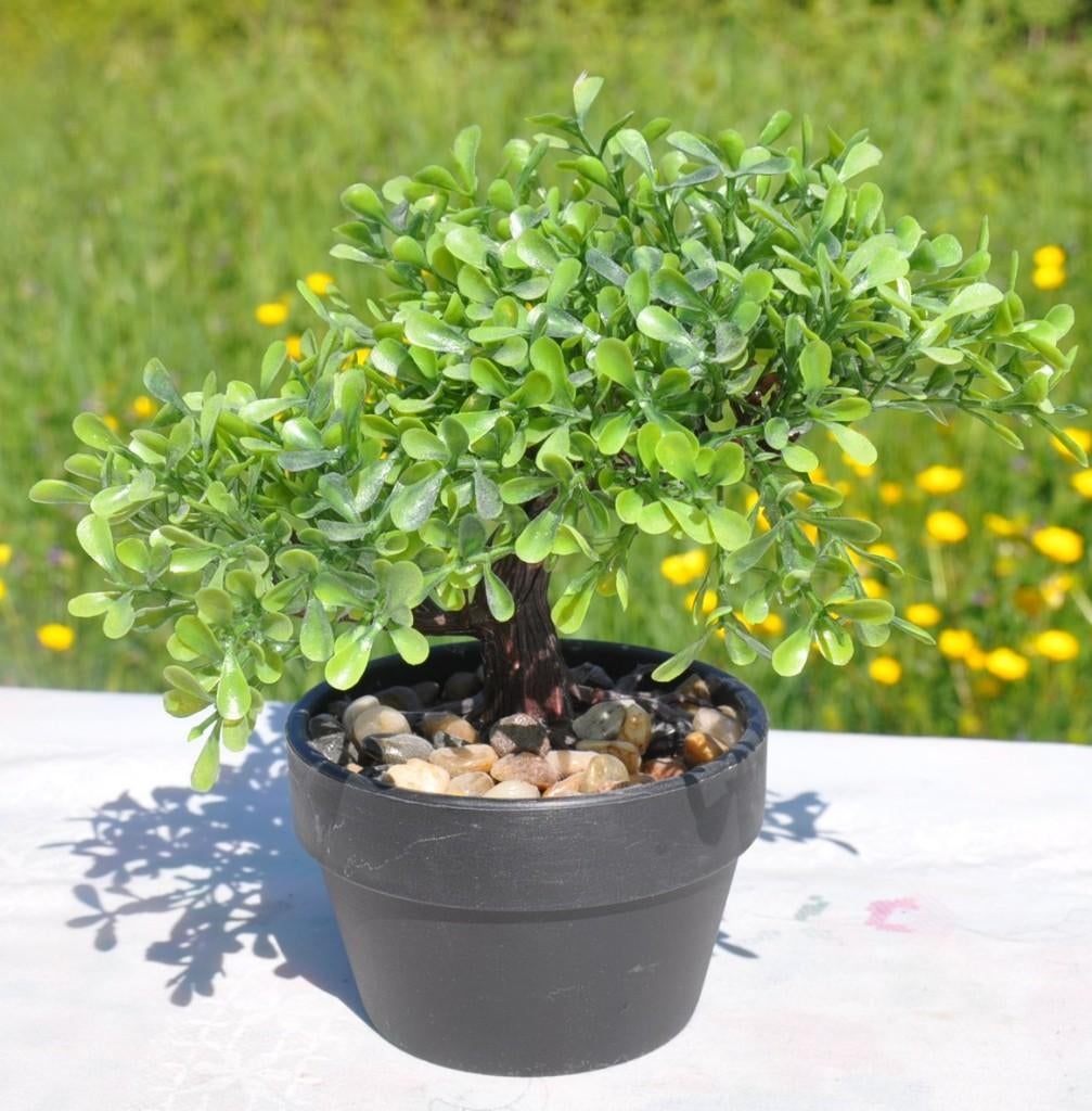 plante plastique style bonsaï, Enlèvement ou Envoi, Comme neuf, Plastique, Autres types
