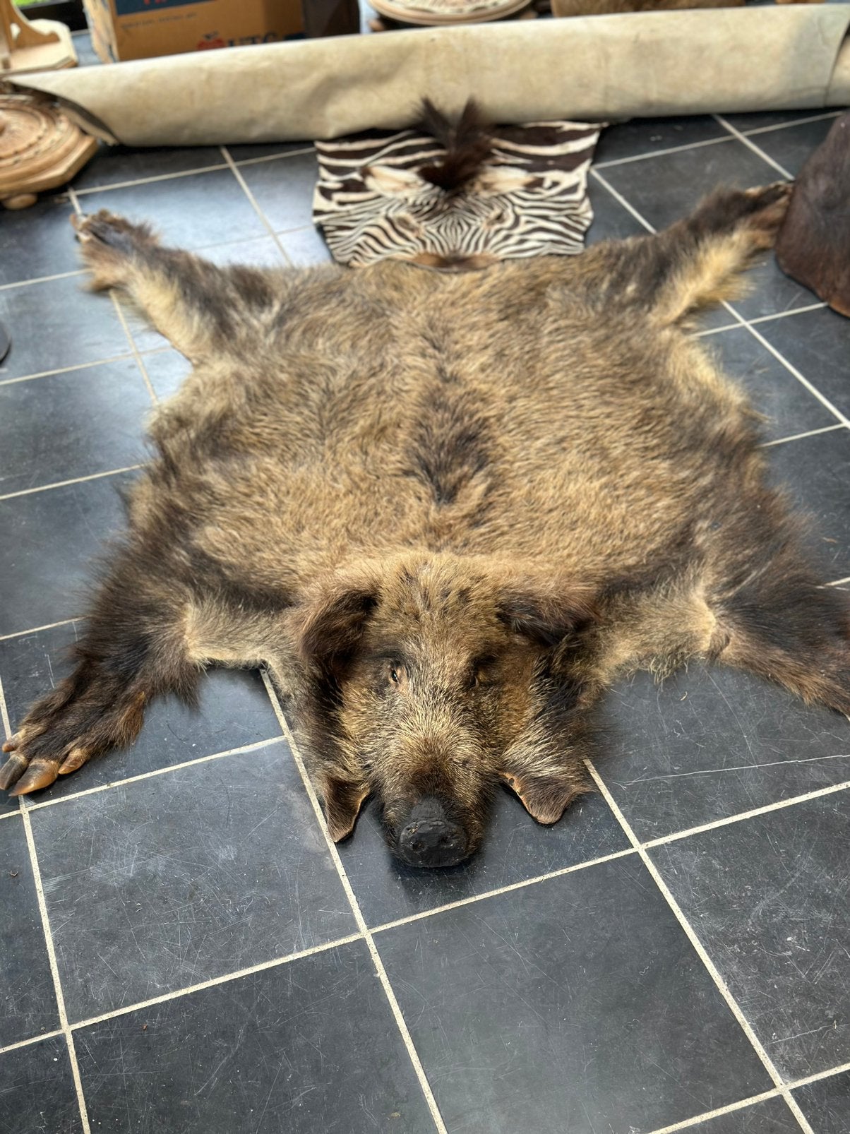 Varkens kop poten vel opgezette, Enlèvement