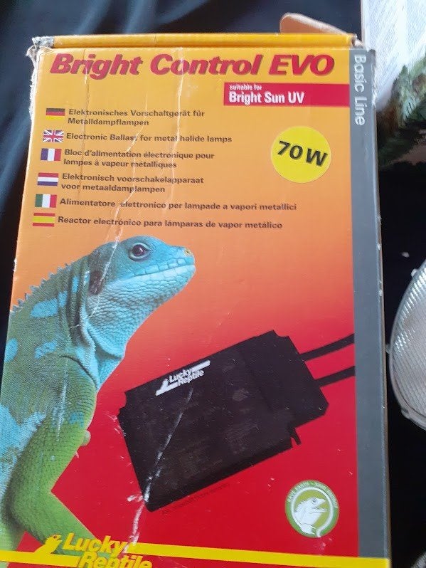 UV lampe voor  reptiles, Dieren en Toebehoren, Ophalen, Nieuw, Verlichting