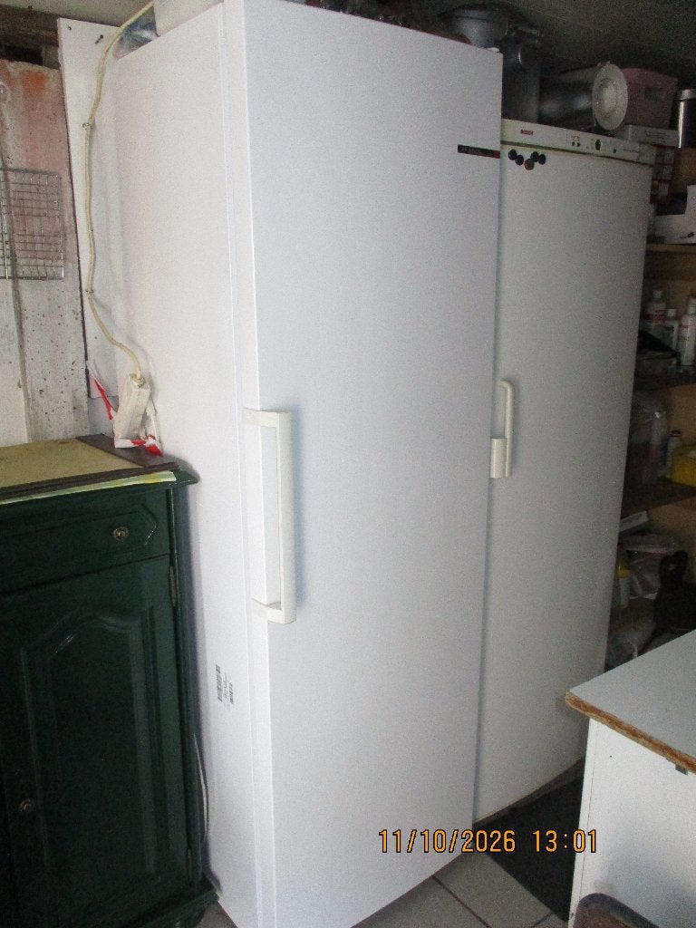 diepvriezer, Electroménager, Moins de 60 cm, Congélateur, Classe énergétique A ou plus économe, 160 cm ou plus