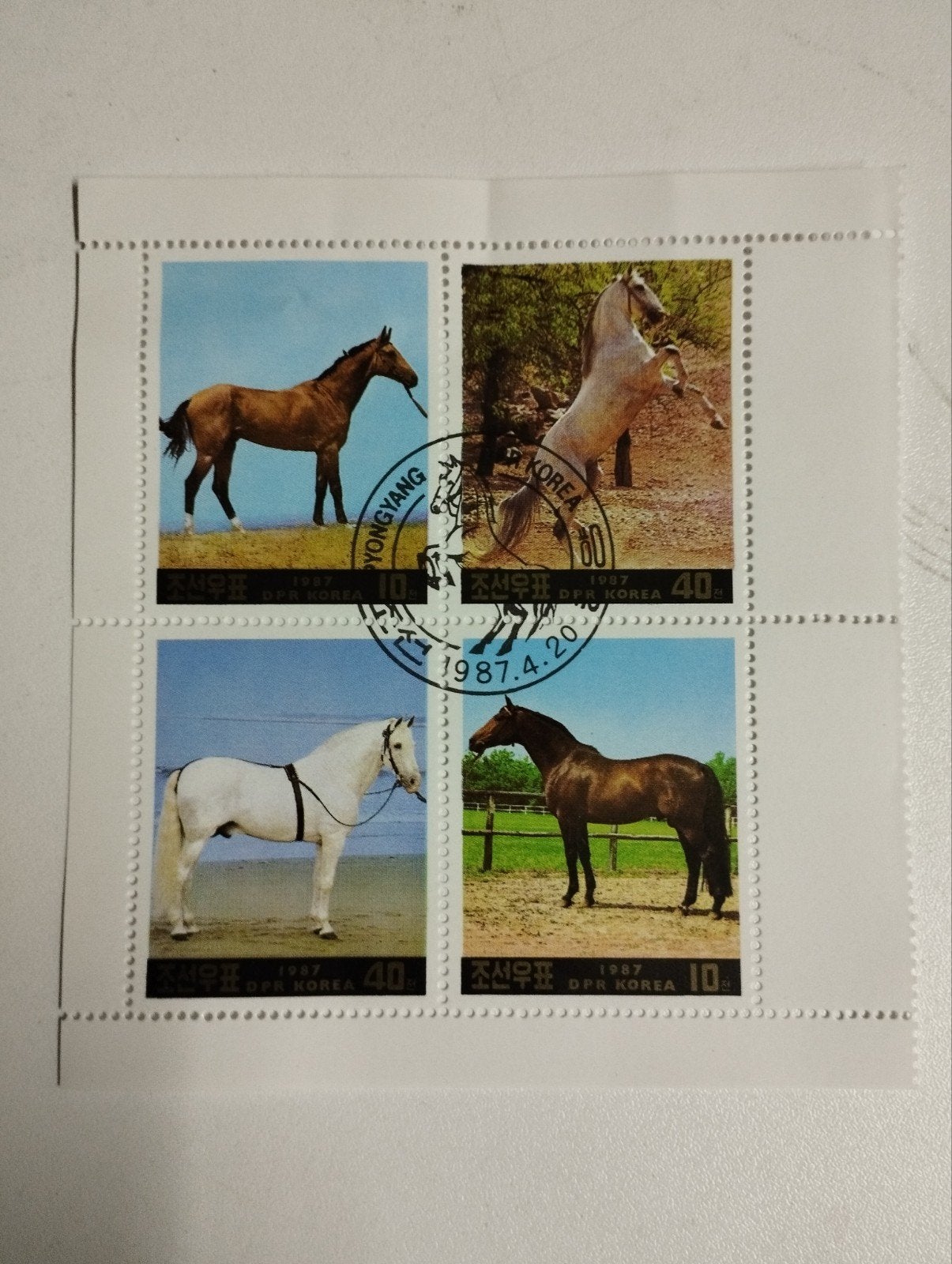 Een postzegelblok met 4 postzegels erin over paarden kleur v, Postzegels en Munten, Postzegels | Thematische zegels, Ophalen