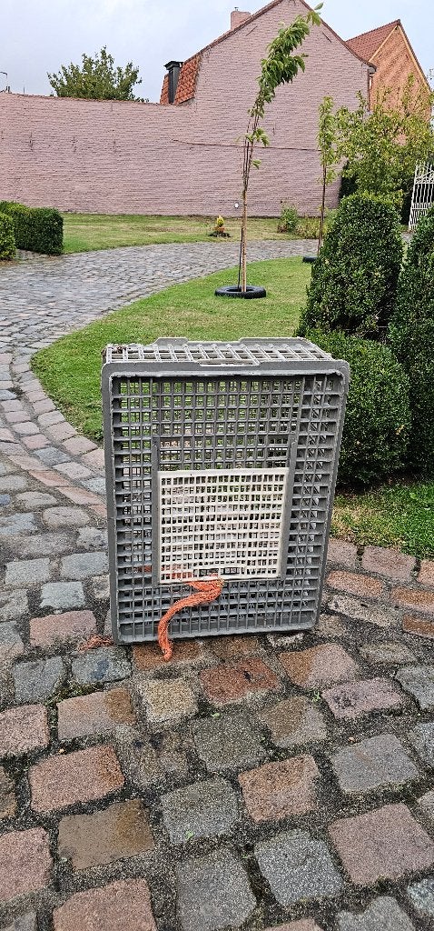 Transportkist kippen, Ophalen, Zo goed als nieuw