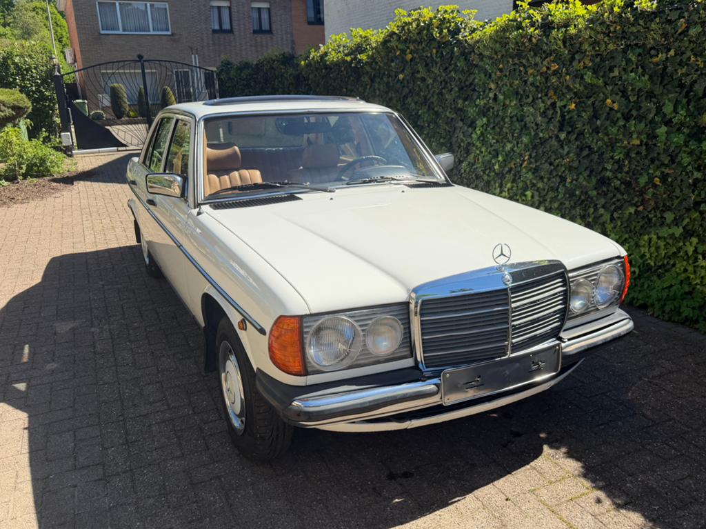 Mercedes-Benz W123 240D automaat, Achterwielaandrijving, Beige, 4 cilinders, Wit
