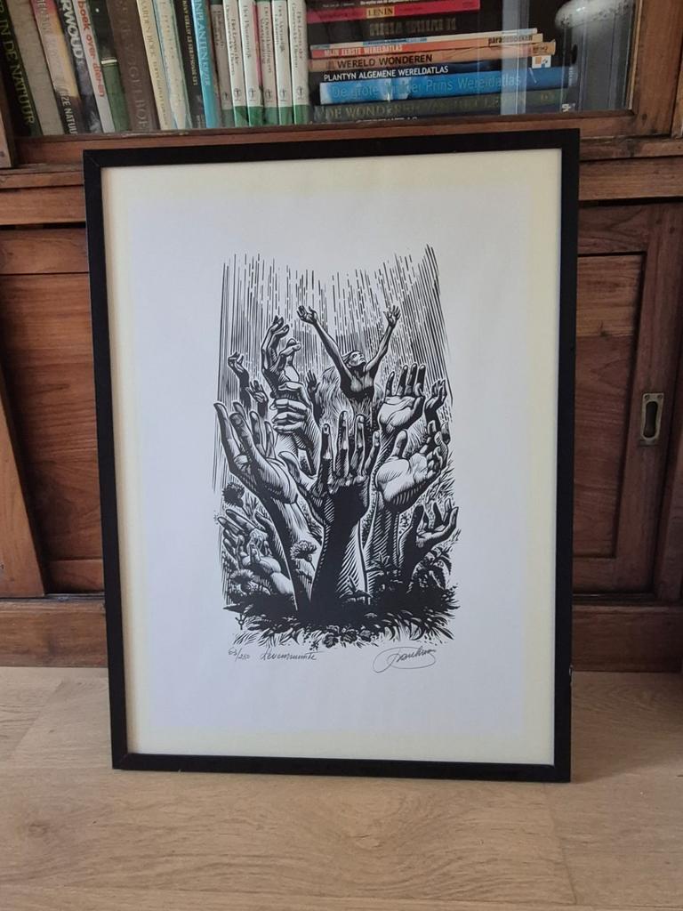 Gesigneerde grafiek Frank Ivo Van Damme - Levensruimte, Antiek en Kunst, Kunst | Tekeningen en Fotografie, Ophalen