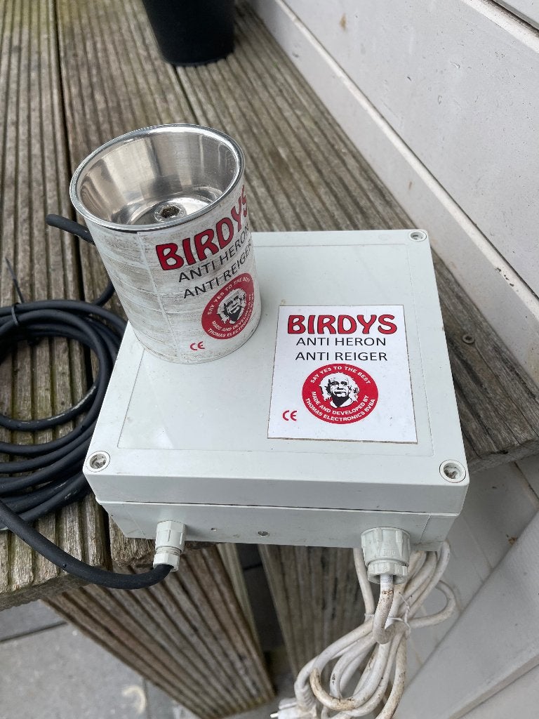 Ultrasone birdy, Animaux & Accessoires, Poissons | Poissons d'étang, Autres espèces