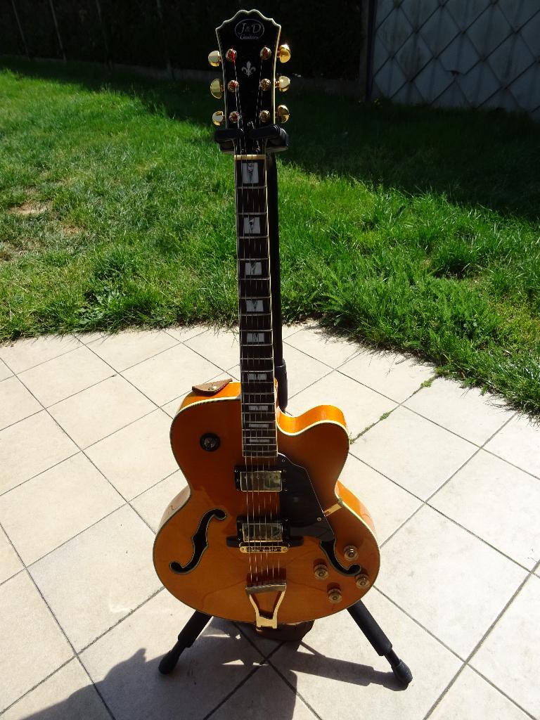 J&D jazz gitaar SA-1 II, Muziek en Instrumenten, Ophalen, Zo goed als nieuw, Hollow body, Overige merken