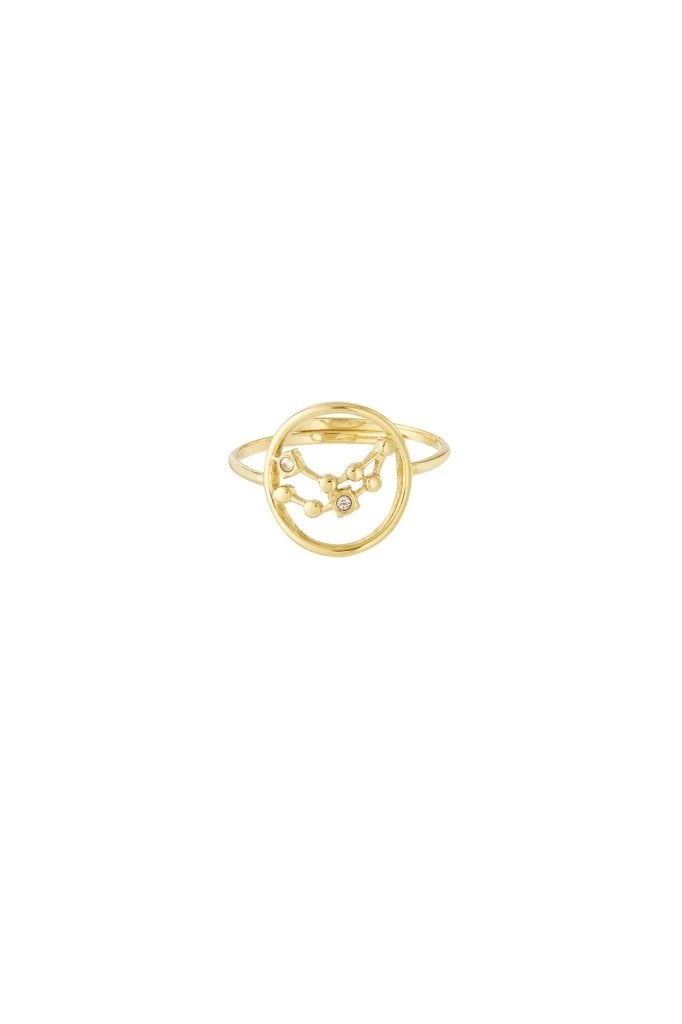 12 Zodiac-ringen, Handtassen en Accessoires, Ophalen of Verzenden, Zo goed als nieuw, Dame