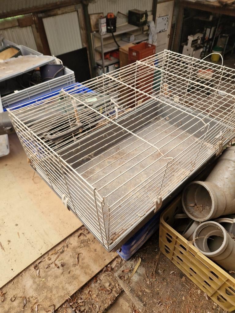 Cavia of konijnenkooi, Ophalen, Cavia