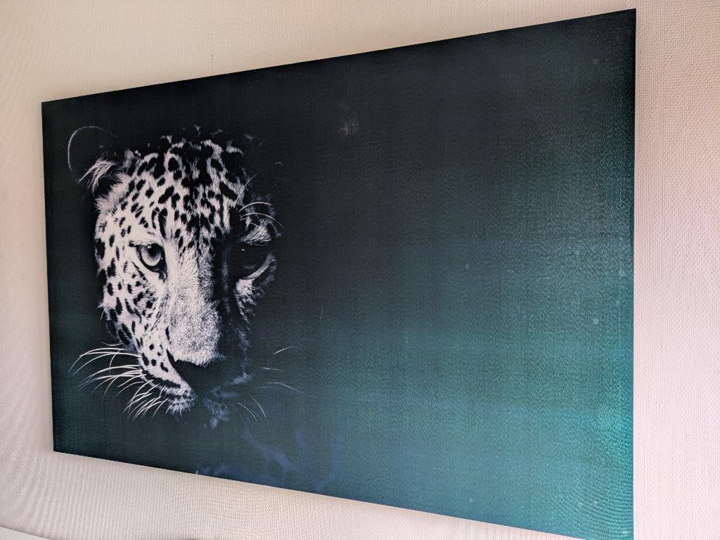 Canvas luipaard, Ophalen, Gebruikt, Decoratieobject