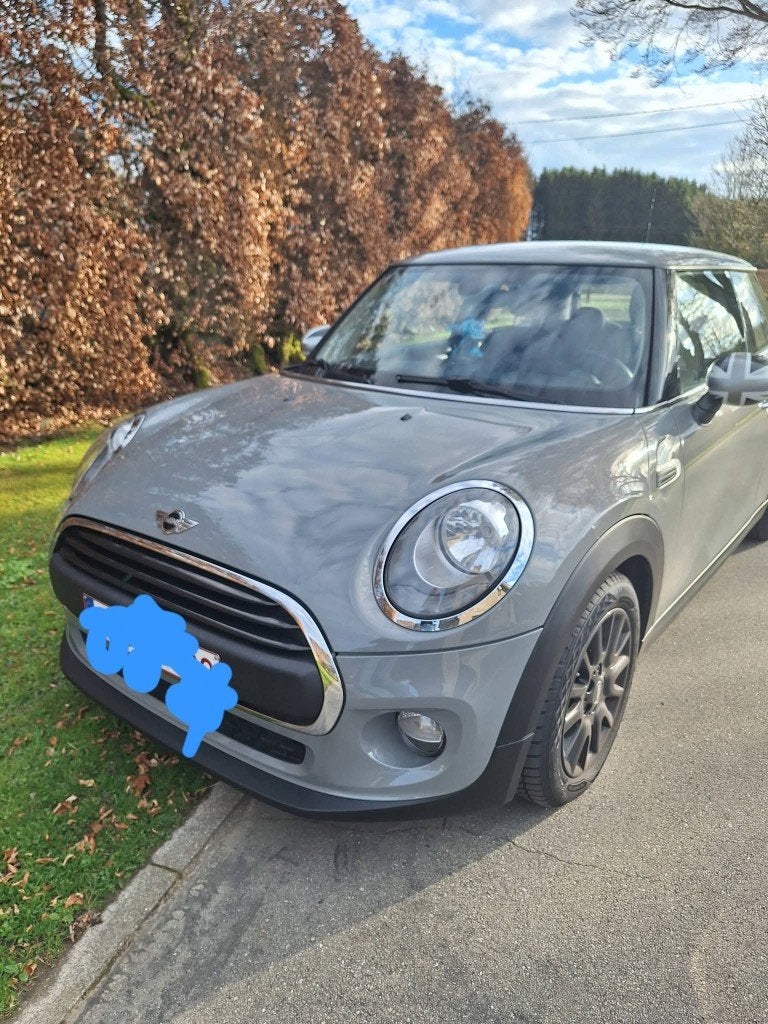 Mini, Enlèvement