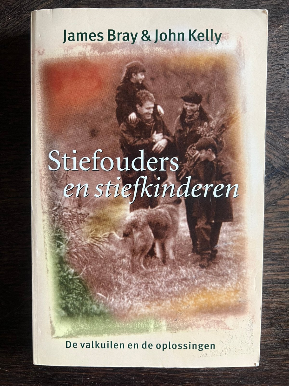 James Bray - Stiefouders en stiefkinderen, Ophalen of Verzenden, James Bray; James Kelly