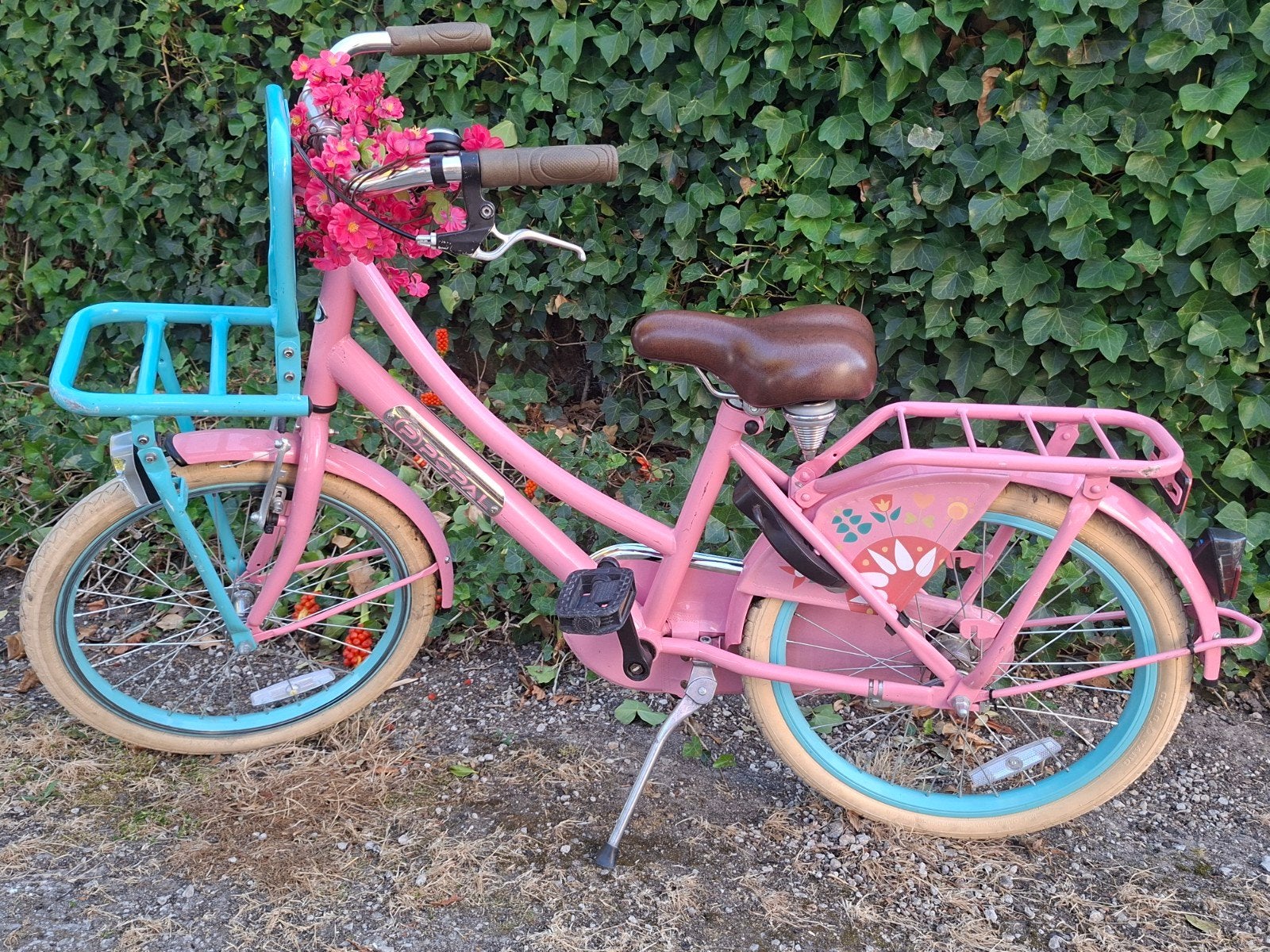 Fiets Popal roze, Vélos & Vélomoteurs, Frein à rétropédalage, Enlèvement, Utilisé, Frein à main