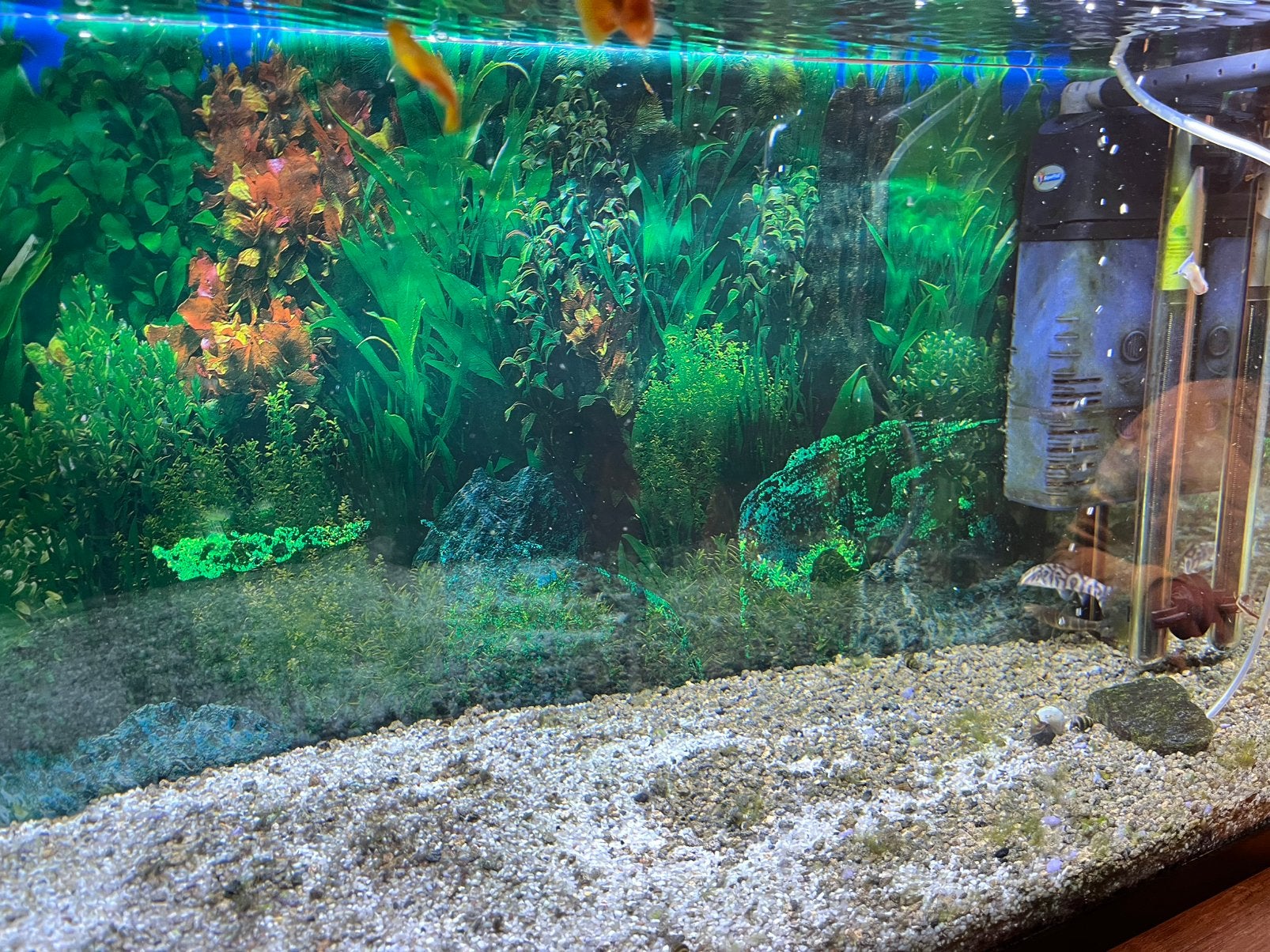 Aquarium 100liter + Co2 installatie, Dieren en Toebehoren, Ophalen, Zo goed als nieuw