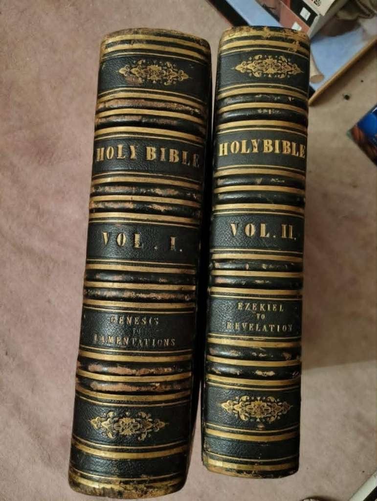 The Holy Bible Gustave Doré / Bijbel  Gustave Doré 1866, Antiquités & Art, Enlèvement ou Envoi