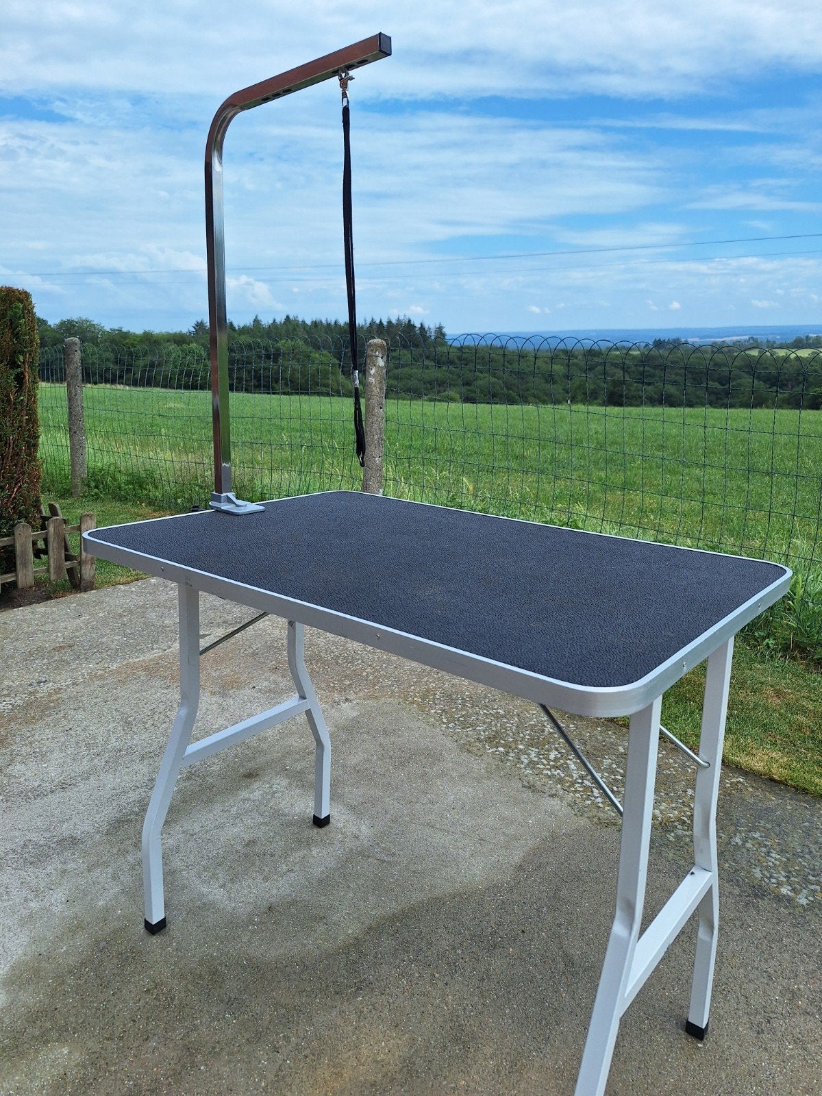Table de toilettage pour chien, Dieren en Toebehoren, Honden-accessoires, Trimtafel, Ophalen