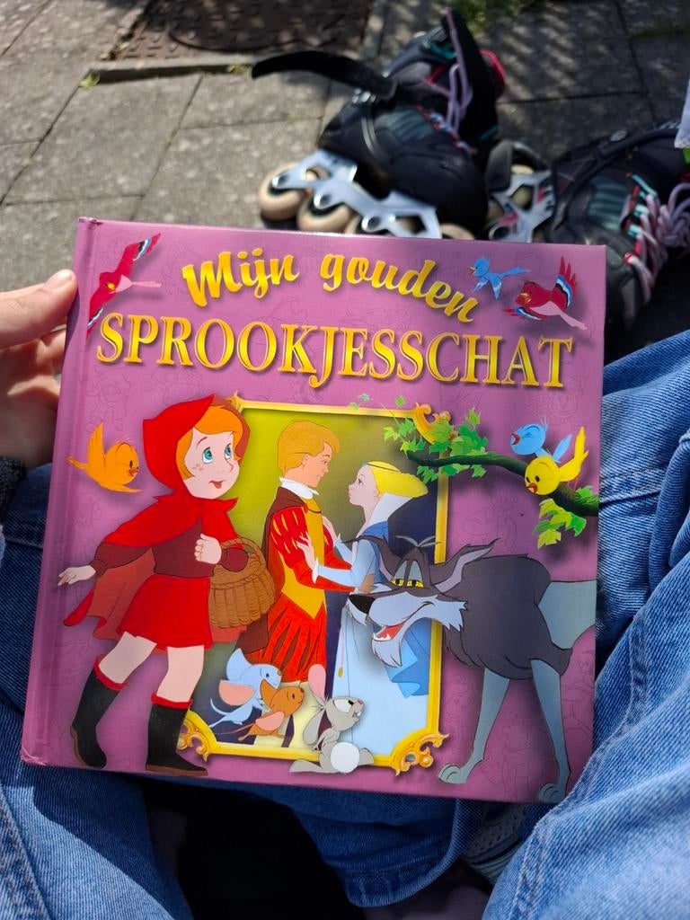 Sprookjesboek, Boeken, Sprookjes en Fabels, Ophalen of Verzenden