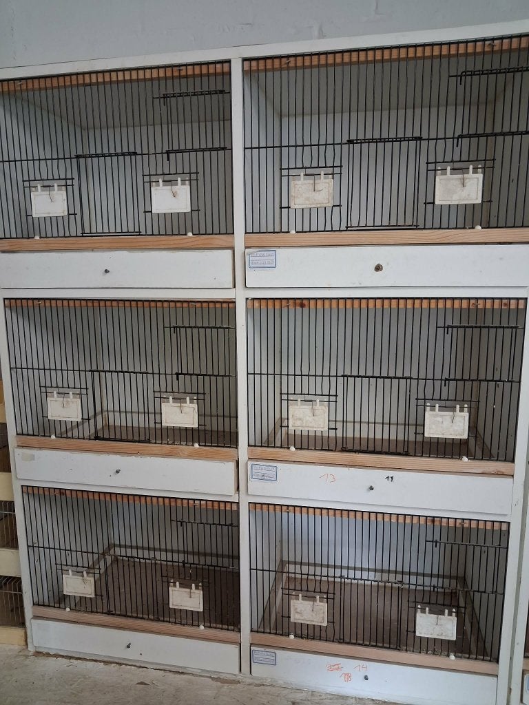 kanaries kweekkooien, Enlèvement, Comme neuf, Bois, Cage d'élevage