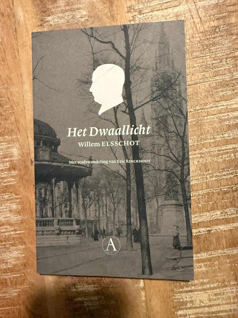 Het dwaallicht - Willem Elsschot (Met stadswandeling ), Boeken, België, Ophalen of Verzenden, Zo goed als nieuw, Willem Elsschot