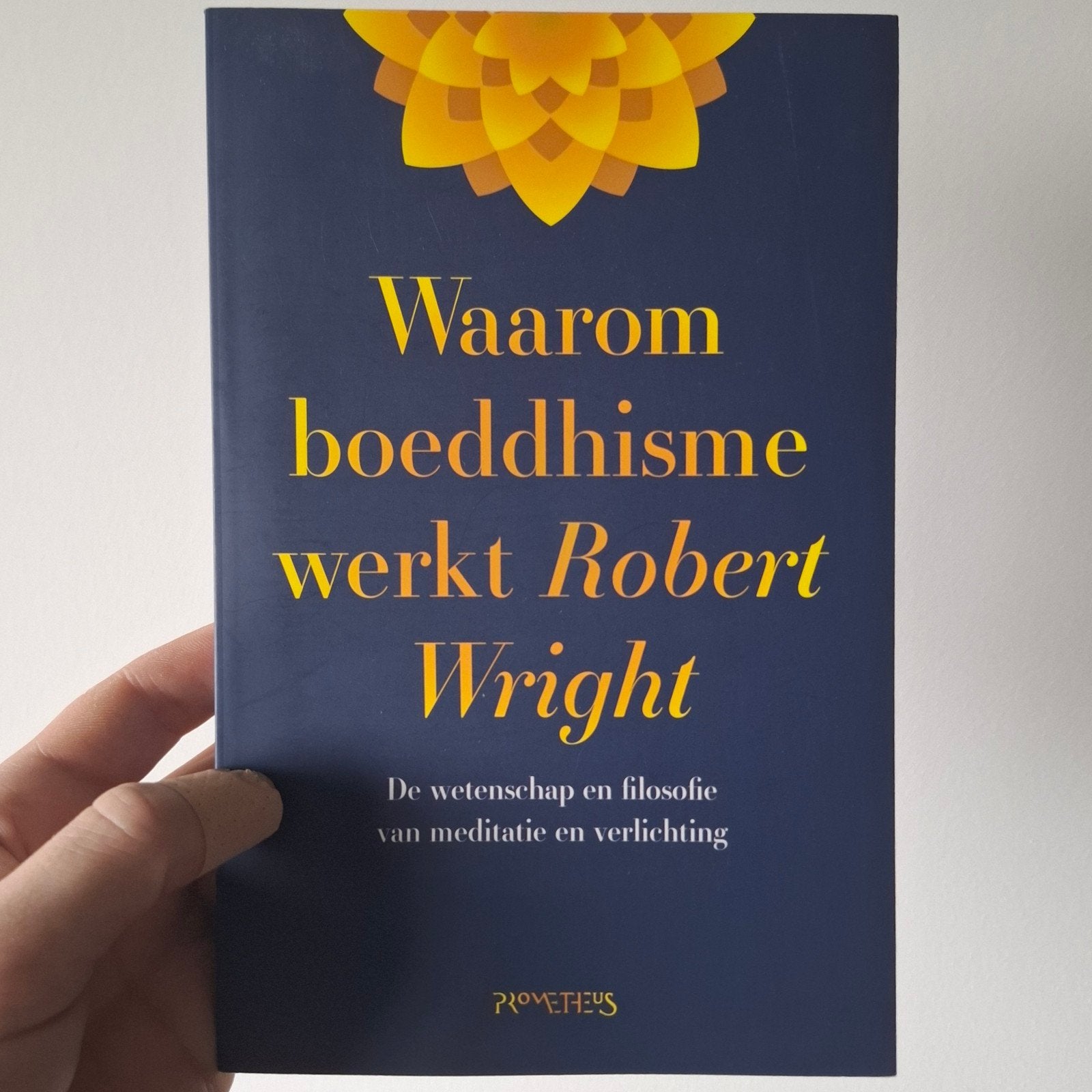 Waarom boeddhisme werkt- Robert Wright, Ophalen of Verzenden