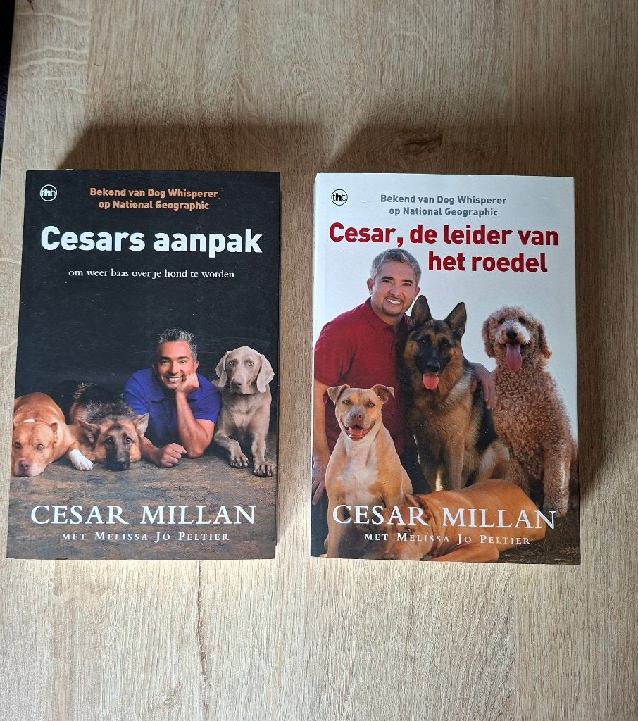 Boeken Cesar Millan, Livres, Animaux & Animaux domestiques, Enlèvement, Chiens