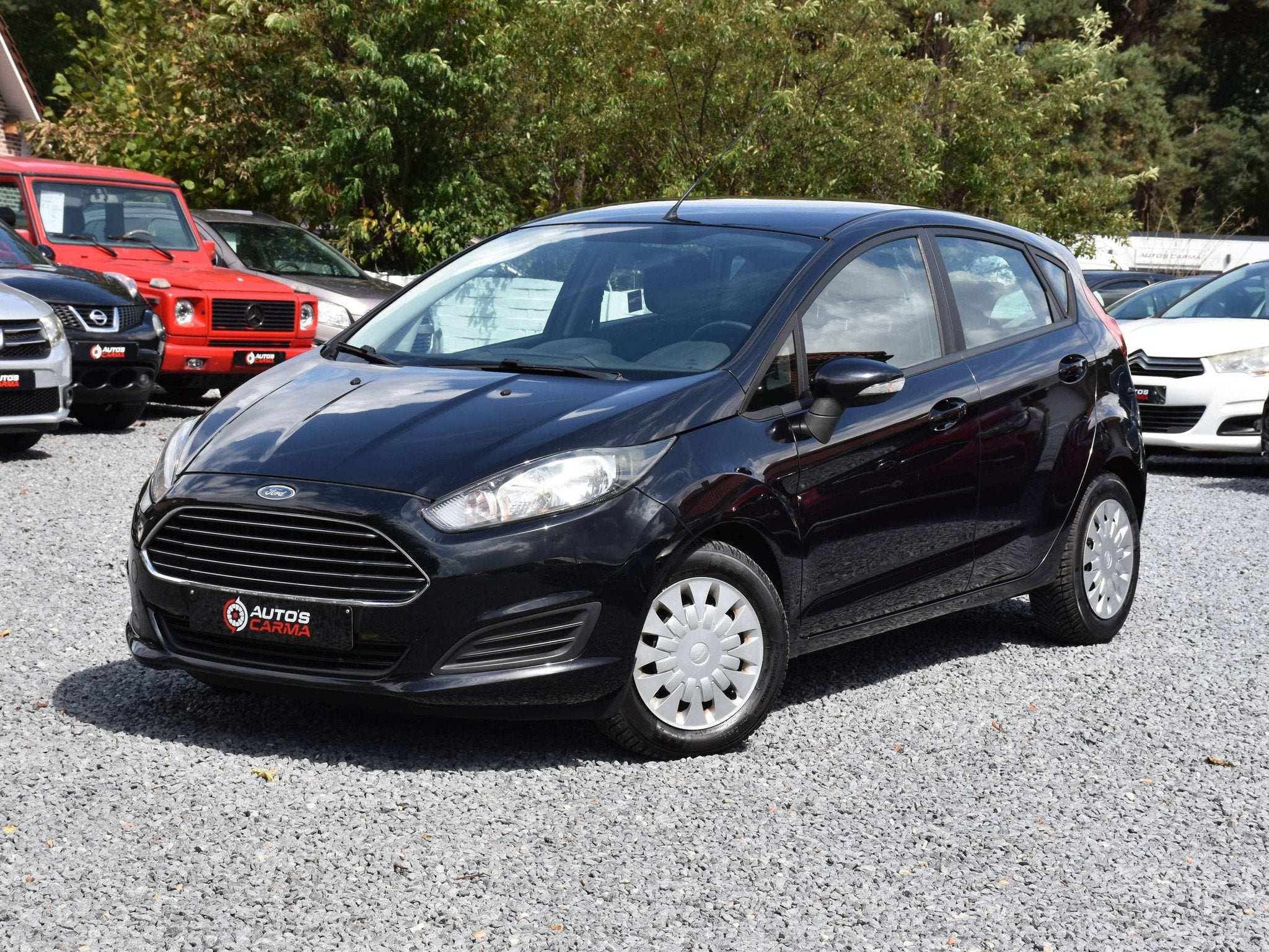 Ford Fiesta Fiesta 1.6 TDCi Trend ECOnetic S/S, Euro 5, Achat, Entreprise, 5 portes