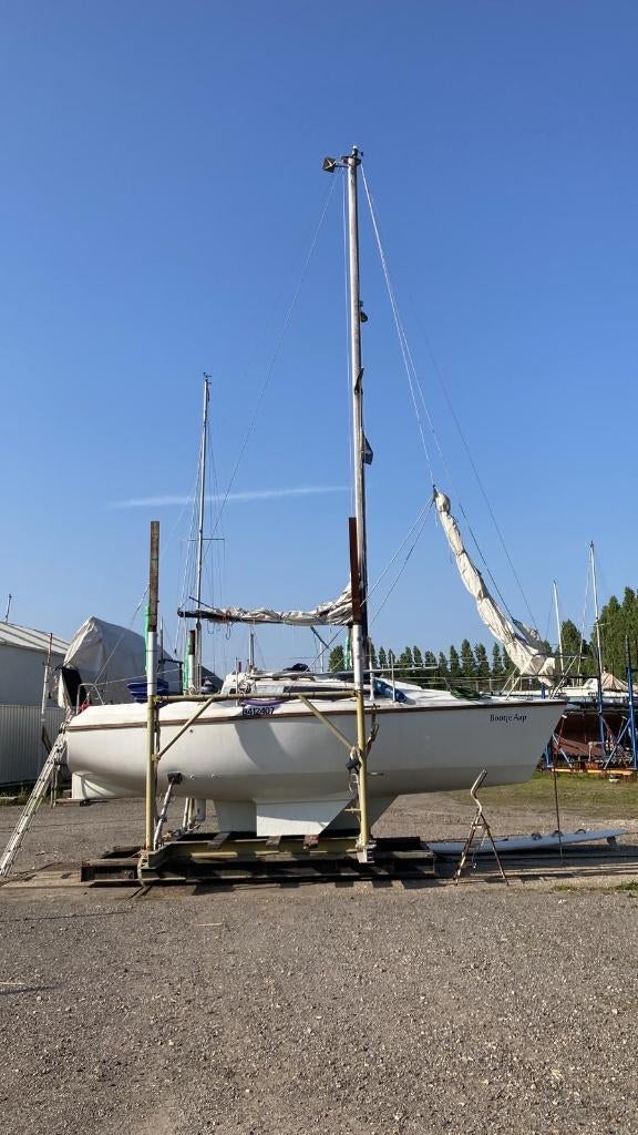 Zeiljacht 7m, Sports nautiques & Bateaux, Voiliers à cabine & Voiliers, Bateau de plaisance ou Cruiser, Enlèvement, Utilisé, 6 à 9 mètres