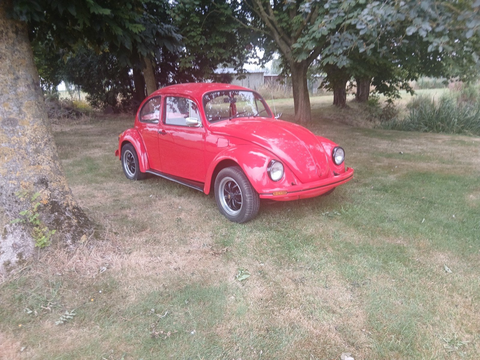volkswagen kever, Autos, Oldtimers & Ancêtres, Particulier, Achat, Volkswagen