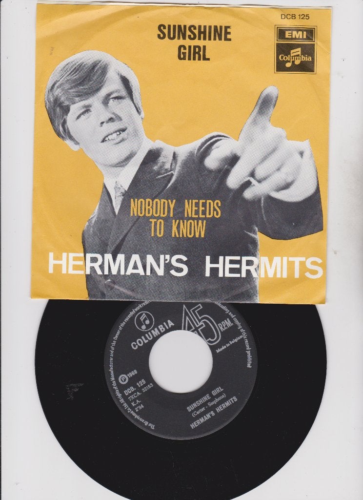 Herman's Hermits – Sunshine Girl  1968, Gebruikt, 7 inch, Ophalen of Verzenden, Fotohoes