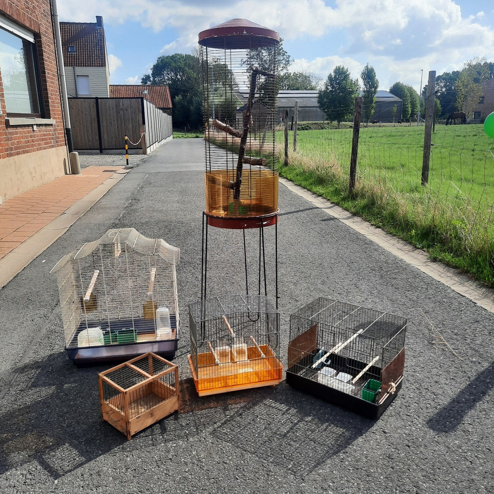 Cages à oiseaux, Animaux & Accessoires, Enlèvement