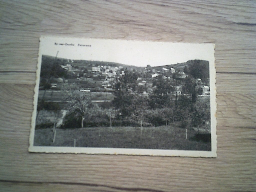 SY s/Ourthe: Panorama, Ophalen of Verzenden, 1920 tot 1940, Ongelopen, Luik