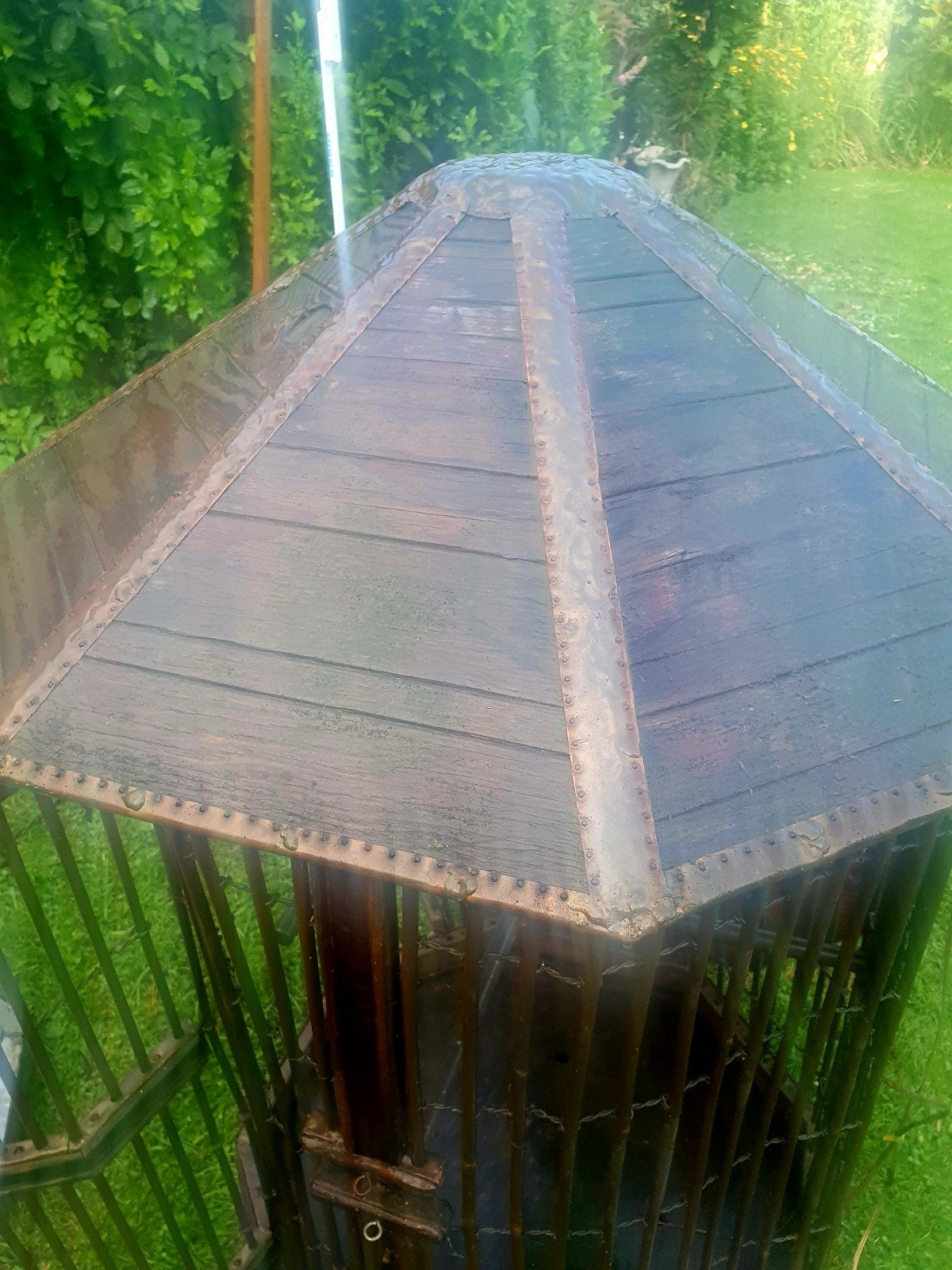 Cage, Enlèvement