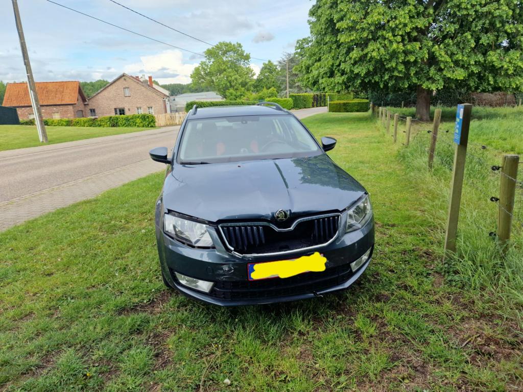 Skoda Octavia, Auto's, Euro 6, 5 deurs, Particulier, ABS