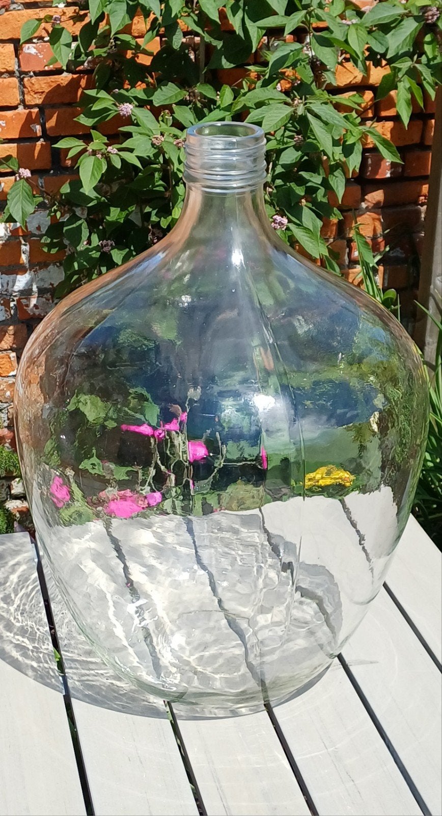 Glazen vaas/gistvaas/Dame Jeanne, Ophalen, Glas