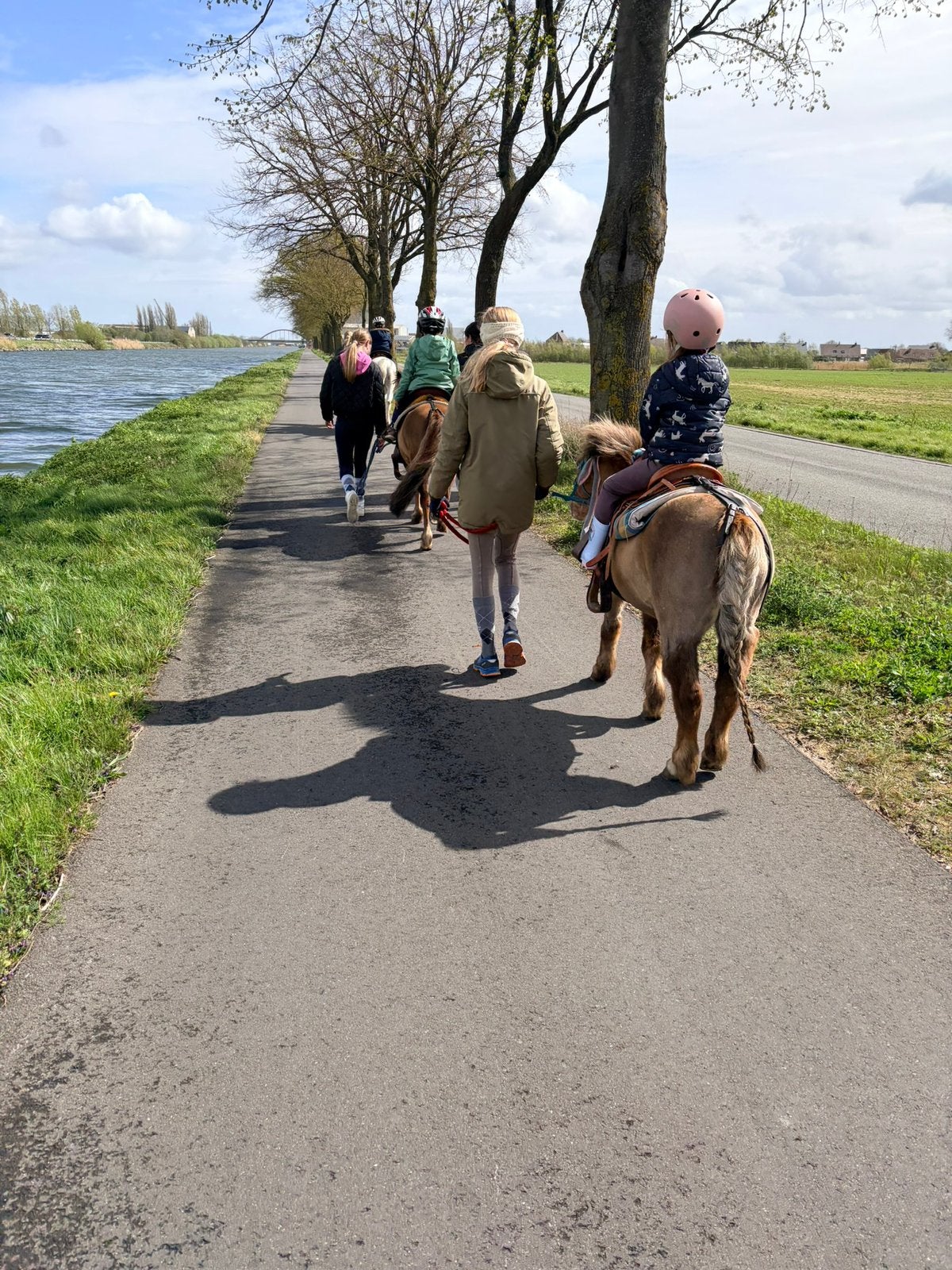 Gezocht ruin, Dieren en Toebehoren, Ophalen, Gebruikt
