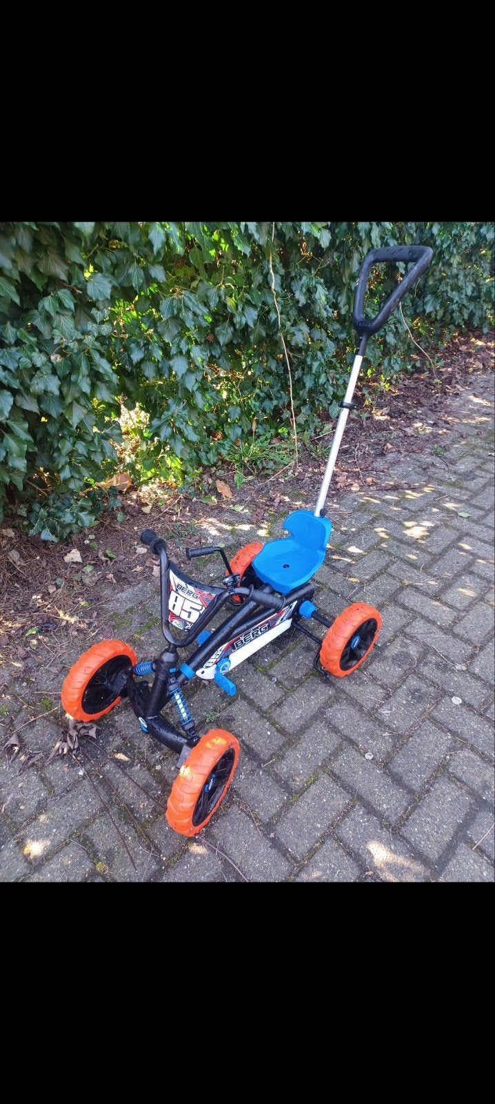 Berg Buzzy Gokar, Enlèvement