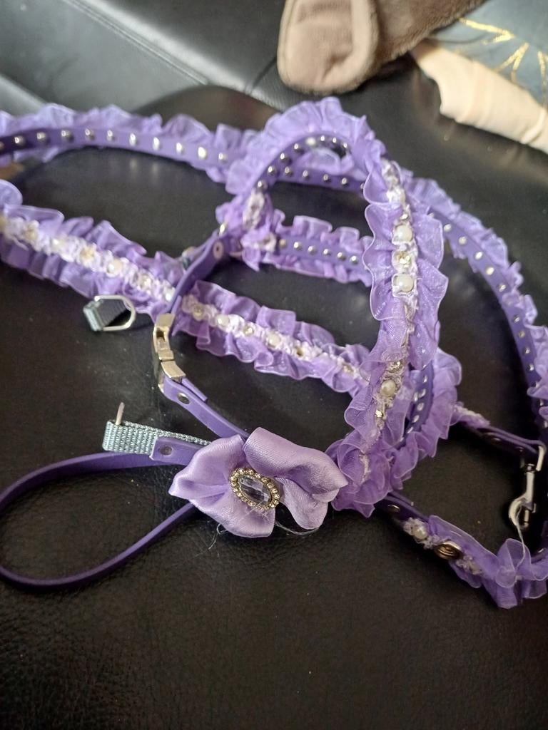 Harnais+laisse (pomérien) violet, Enlèvement ou Envoi, Comme neuf, Accessoires pour laisse pour chien