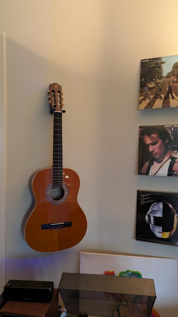 Guitare espagnole « Gomez », Enlèvement